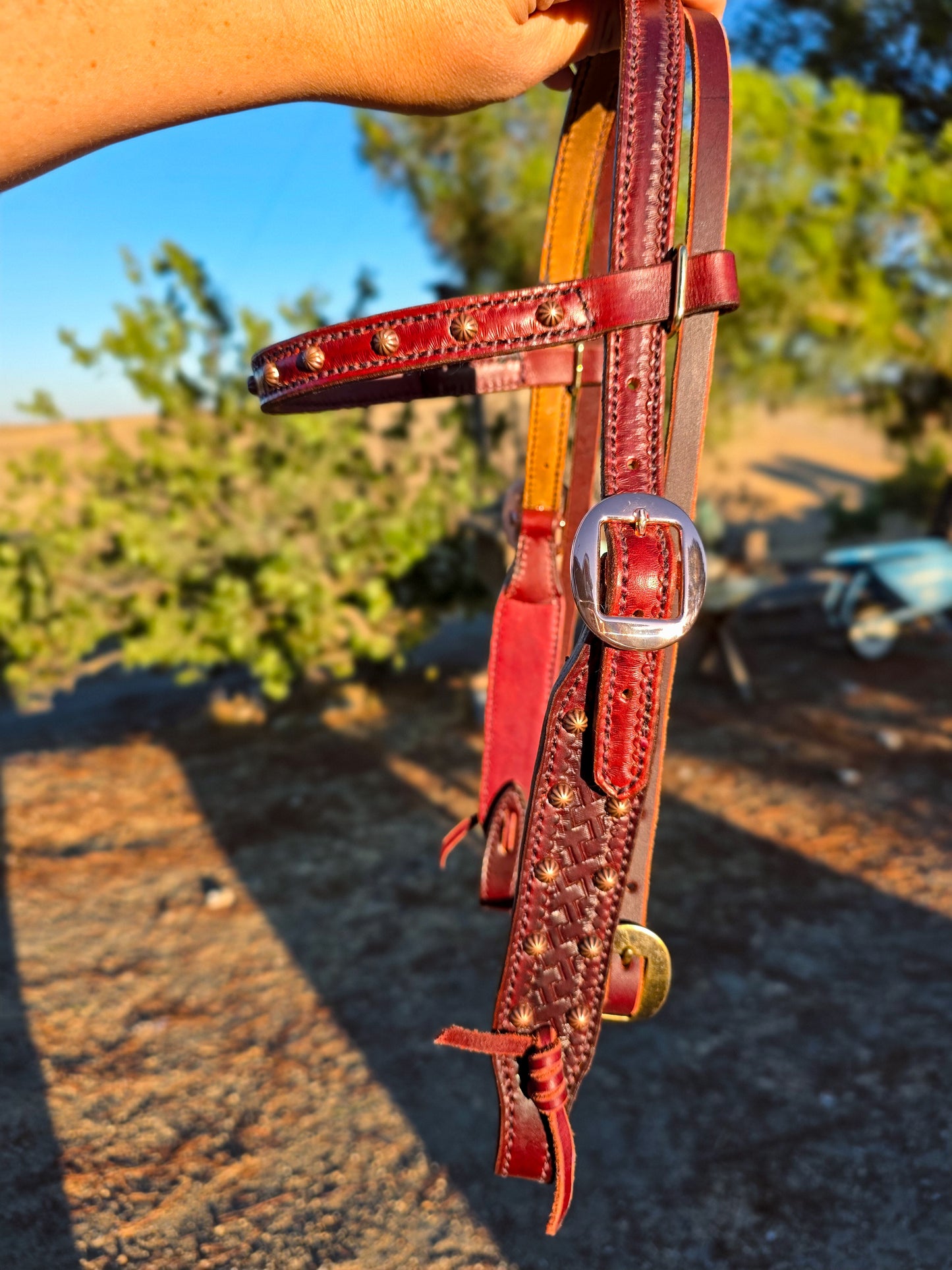 Pony Headstall