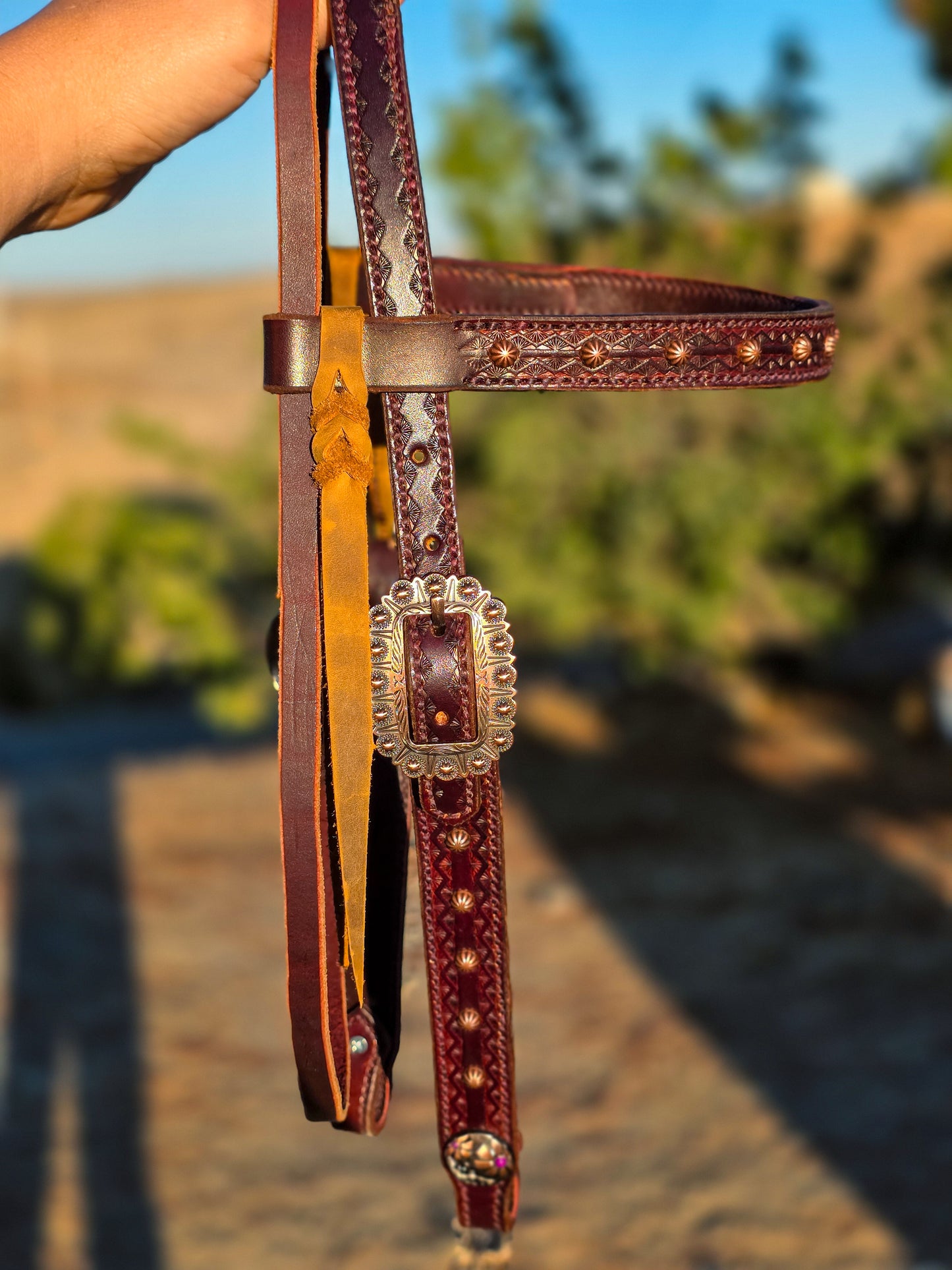 Chocolate Headstall