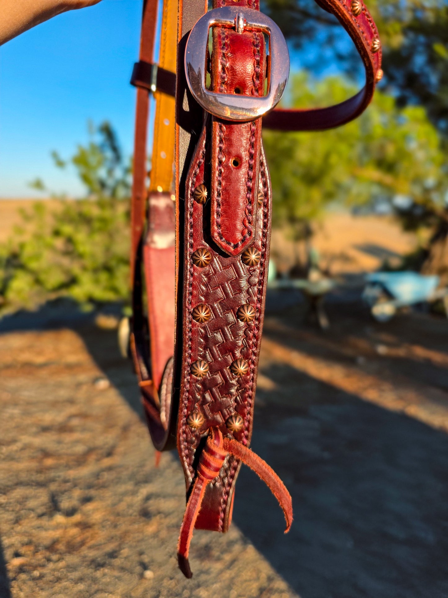 Pony Headstall