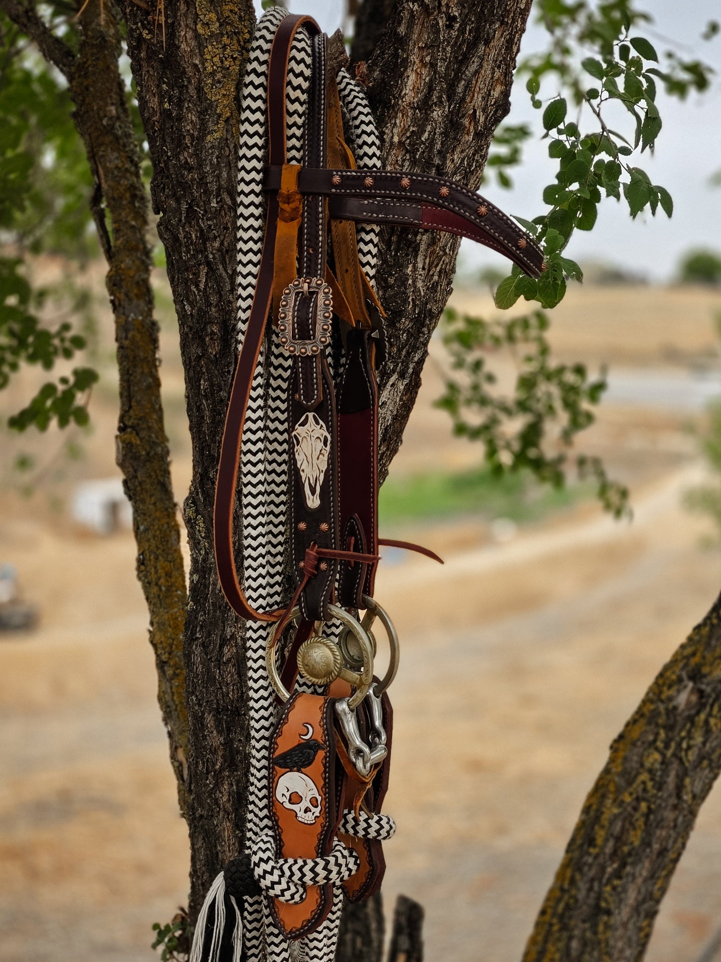 Horse Skull headstall (pre-order)