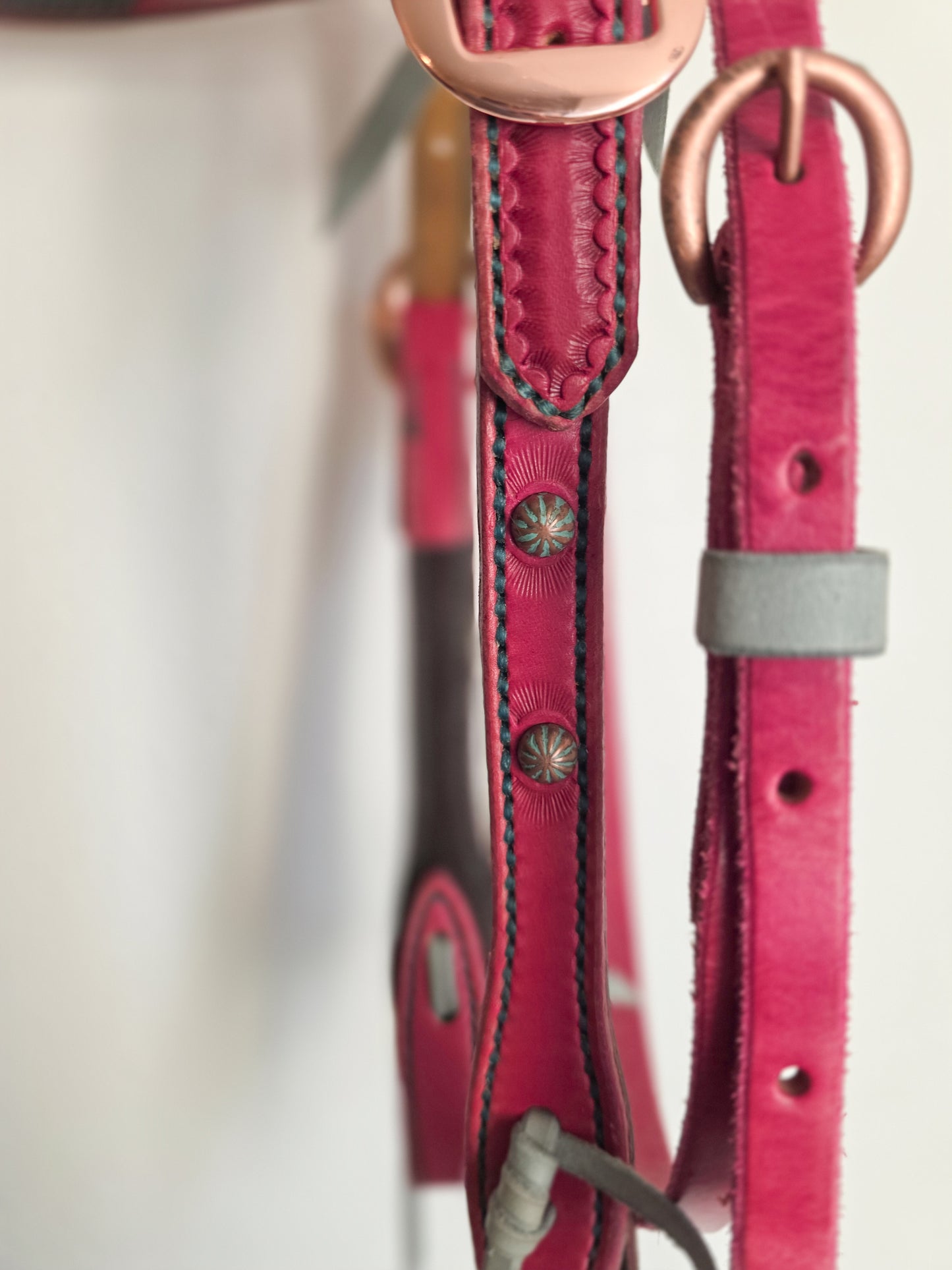 Pink and Turquoise Headstall