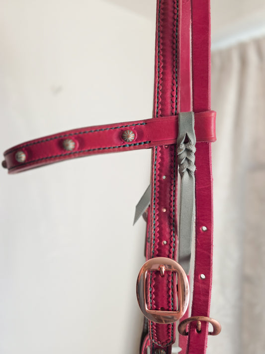 Pink and Turquoise Headstall