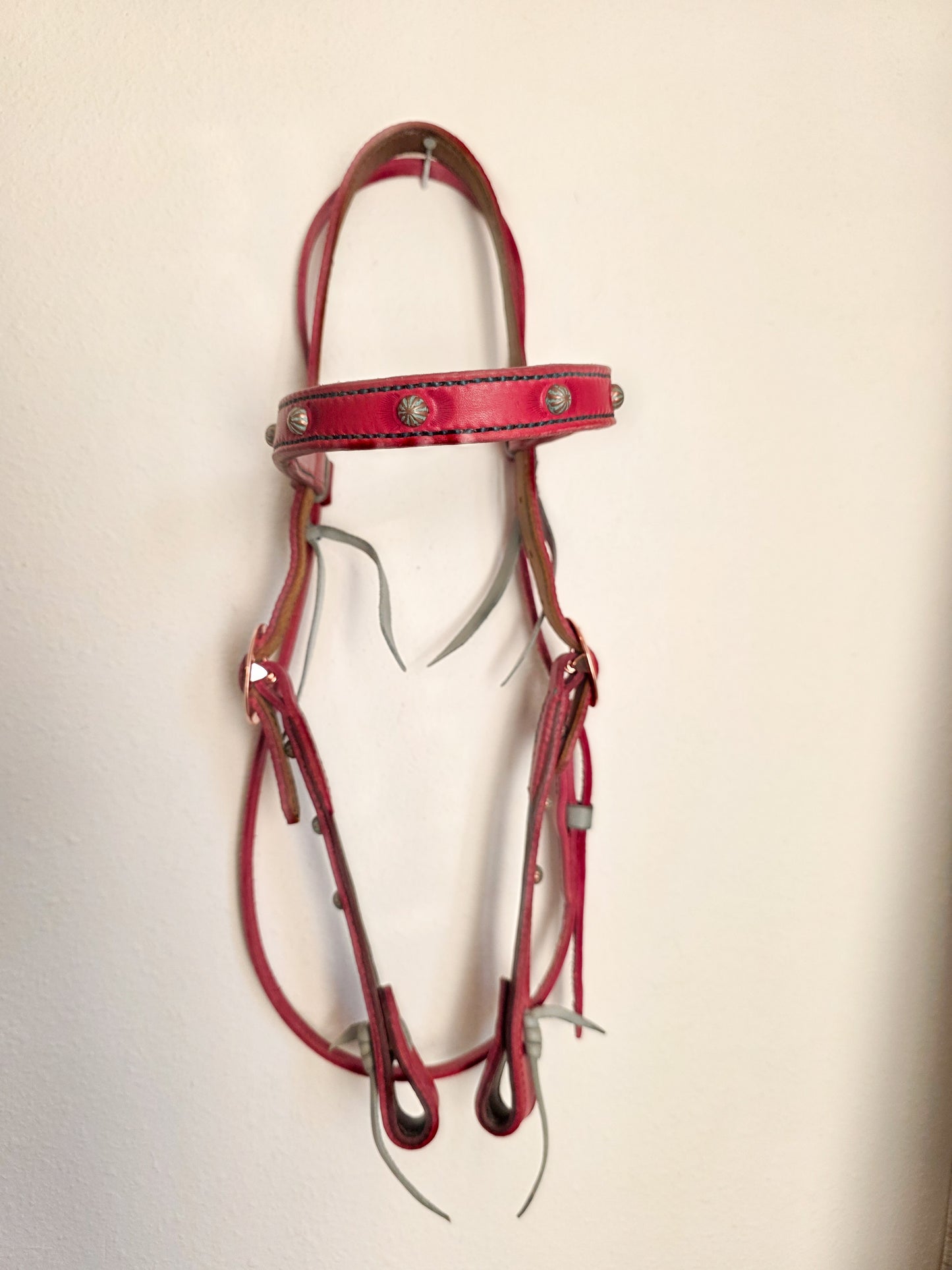 Pink and Turquoise Headstall